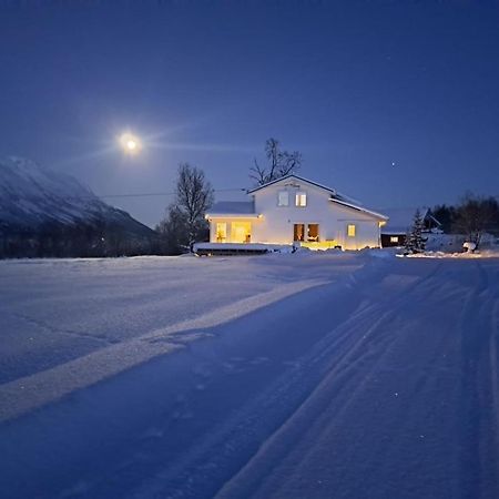 Mountainside Lodge - Breivikeidet Tromsø Extérieur photo