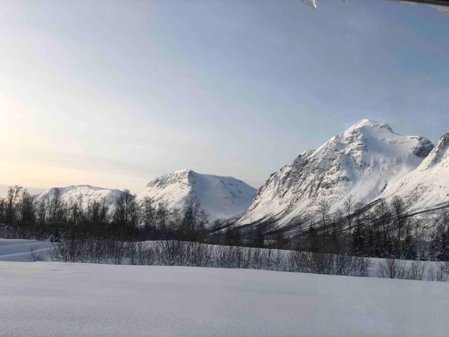 Mountainside Lodge - Breivikeidet Tromsø Extérieur photo