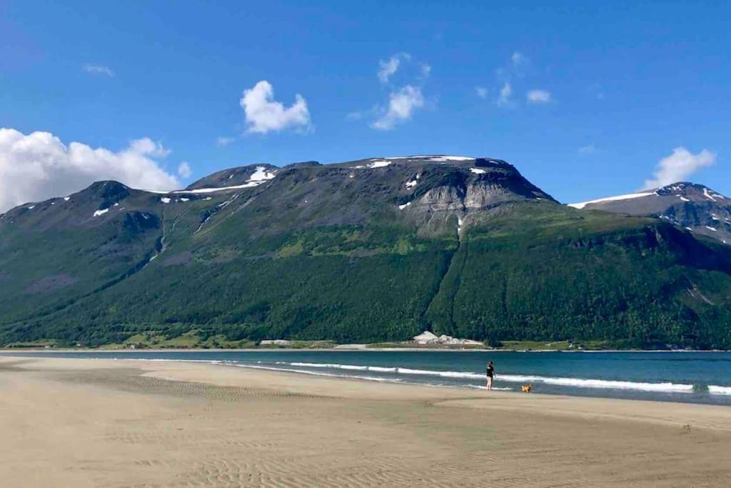 Mountainside Lodge - Breivikeidet Tromsø Extérieur photo