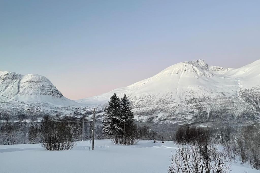 Mountainside Lodge - Breivikeidet Tromsø Extérieur photo
