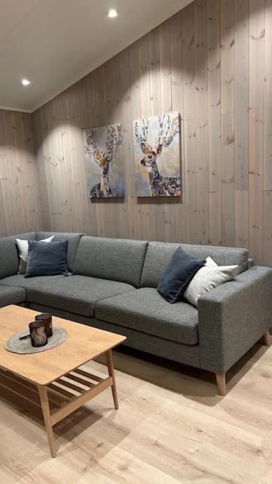 Mountainside Lodge - Breivikeidet Tromsø Extérieur photo
