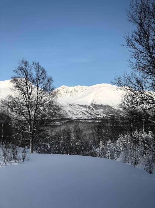 Mountainside Lodge - Breivikeidet Tromsø Extérieur photo