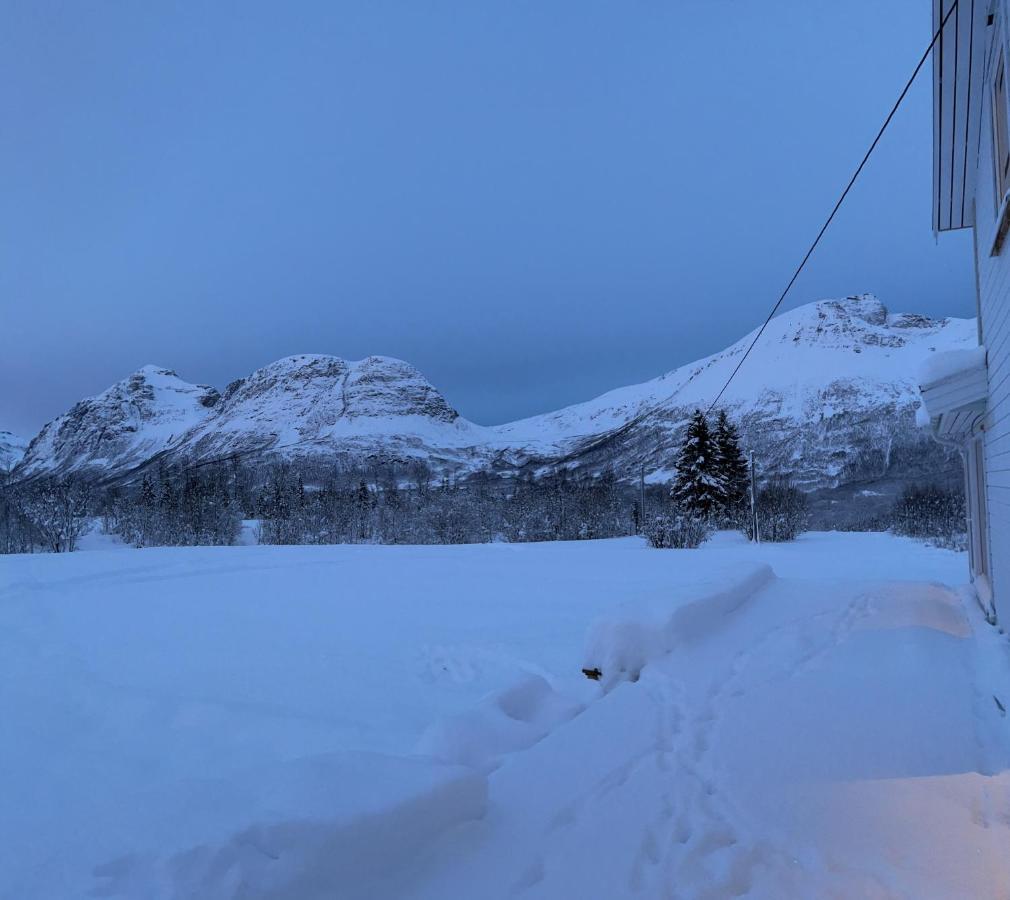 Mountainside Lodge - Breivikeidet Tromsø Extérieur photo