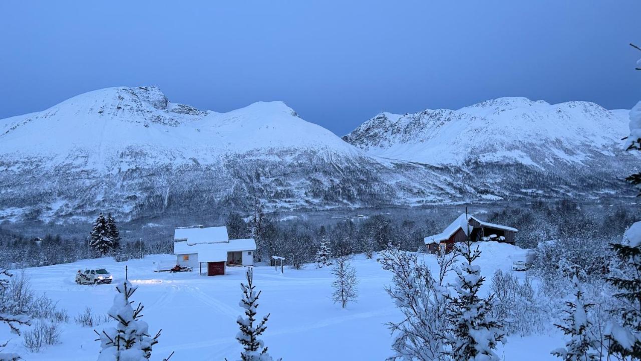 Mountainside Lodge - Breivikeidet Tromsø Extérieur photo