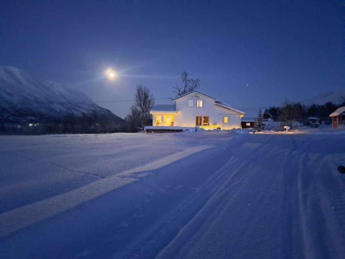 Mountainside Lodge - Breivikeidet Tromsø Extérieur photo